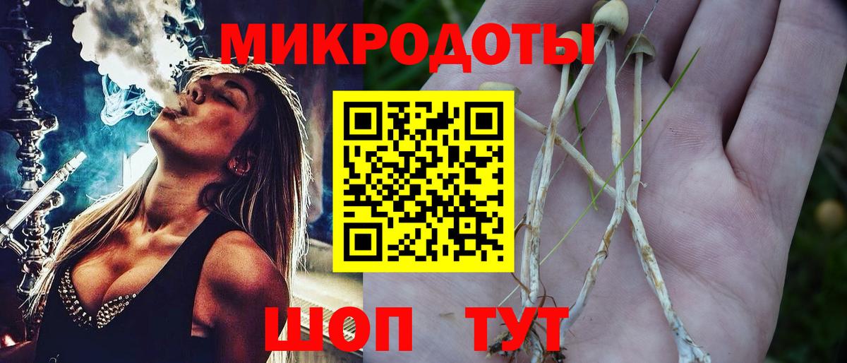 Галлюциногенные грибы MAGIC MUSHROOMS  Псилоцибиновые грибы Psilocybe  Вход с VPN  как найти закладки  Киселёвск 