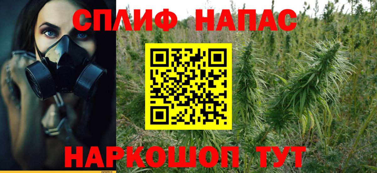 Марихуана OG Kush  Бошки Шишки планчик  Вход с VPN  Шишки марихуана планчик  Бошки марихуана марихуана  Киселёвск 